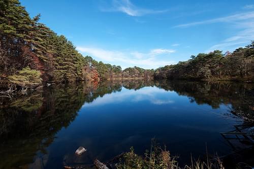 福島の観光スポット「五色沼」は絶対行くべき絶景観光スポット！