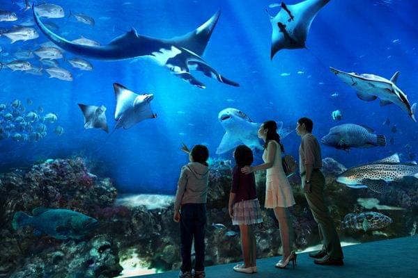 シンガポールの水族館「マリン・ライフ・パーク」は、セントーサ島の人気観光スポット！