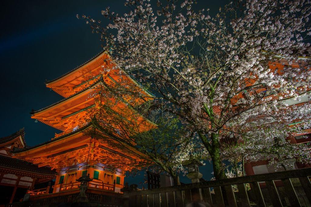 京都でおすすめのお寺９選！世界遺産の宝庫だからこそ本当に行きたいスポット！