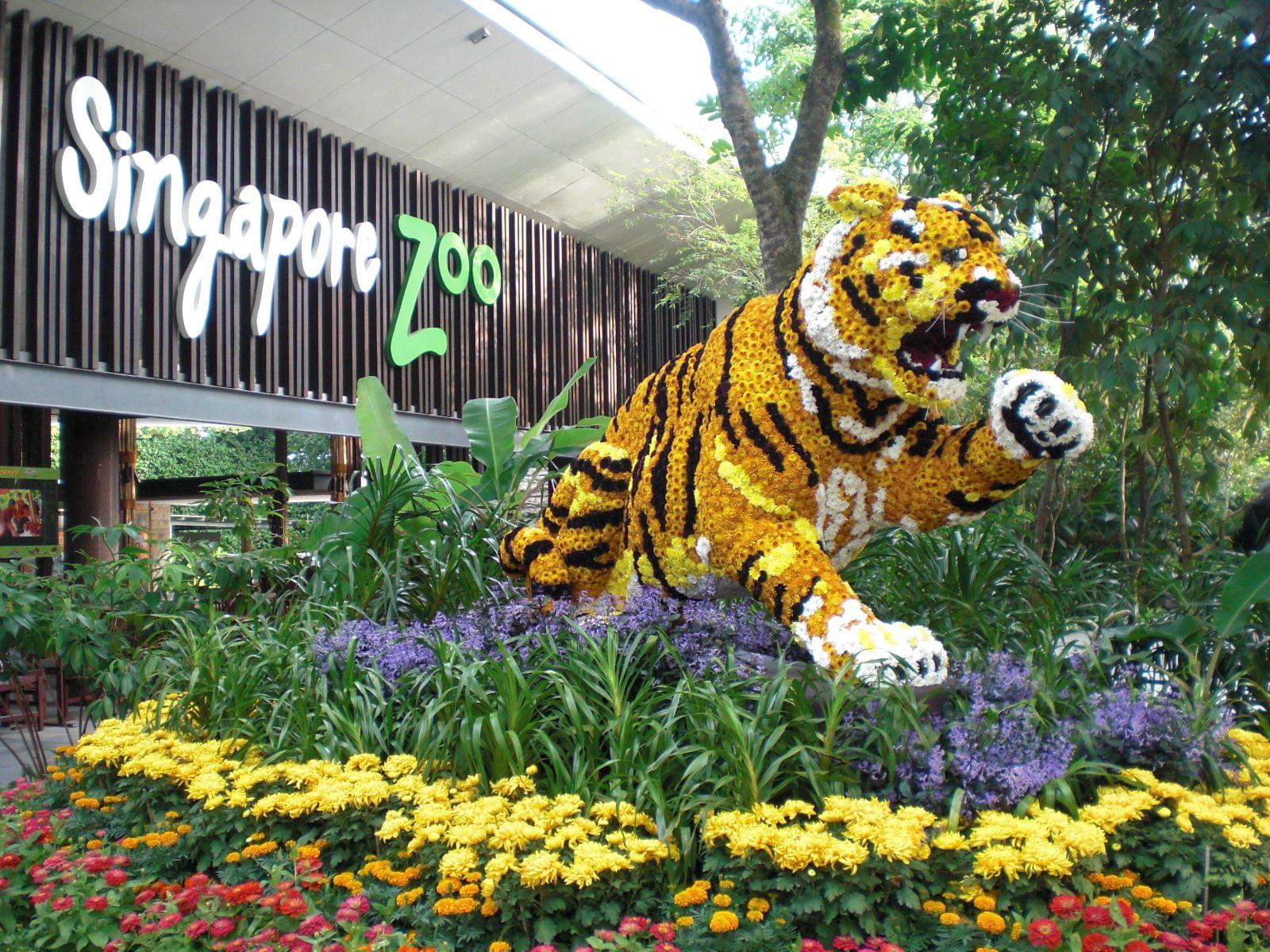 シンガポールの最強動物園3選！迫力満点！誰でも楽しめる！