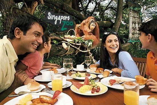 シンガポールの最強動物園3選！迫力満点！誰でも楽しめる！