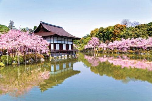 【京都】お寺をバックに観賞！桜が美しすぎる絶景スポット