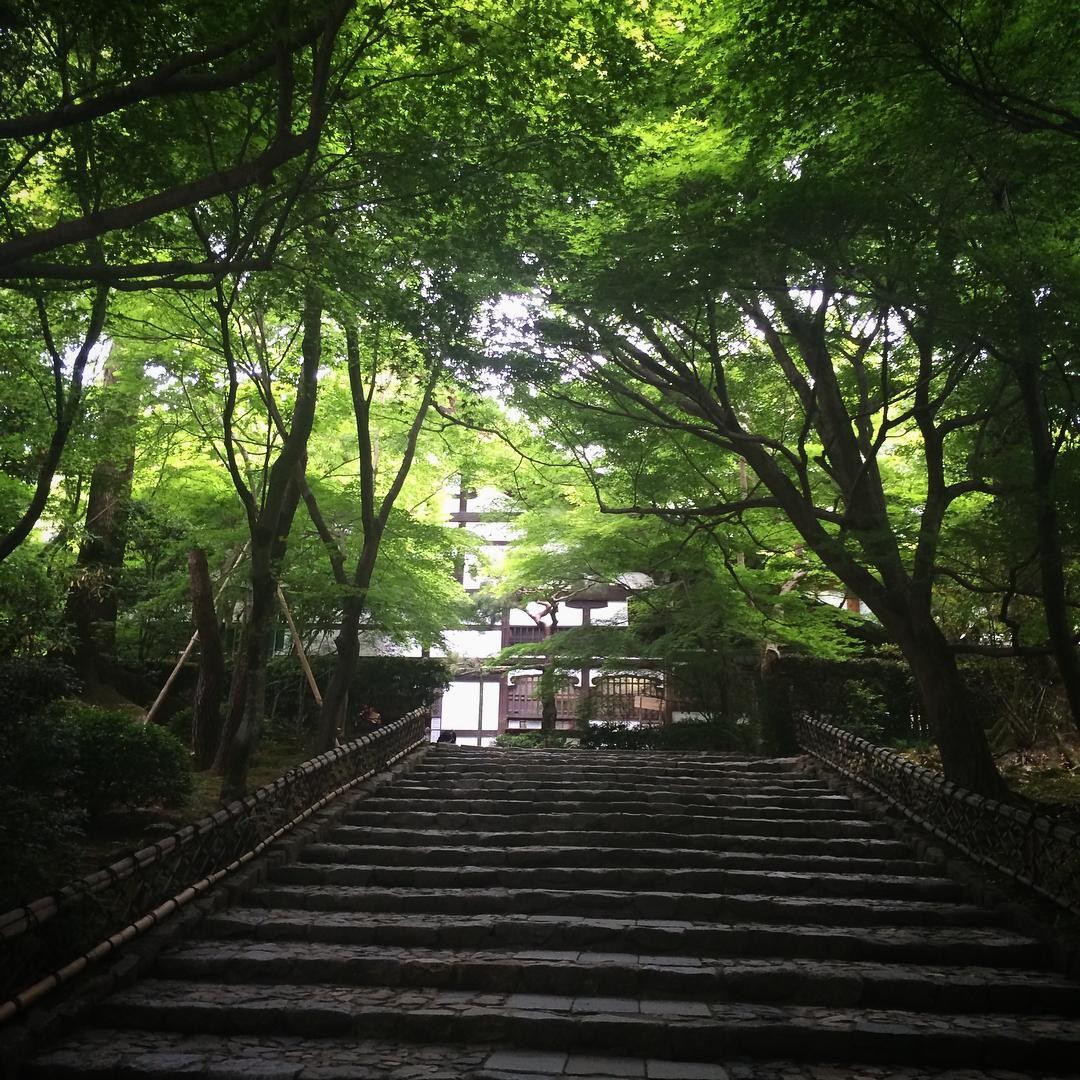 京都・龍安寺にある石庭の秘密！謎が謎を呼ぶ?!