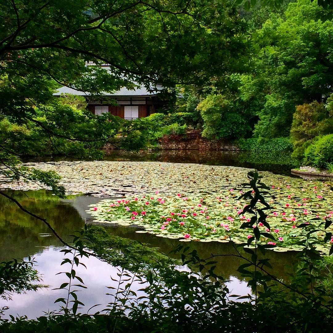 京都・龍安寺にある石庭の秘密！謎が謎を呼ぶ?!