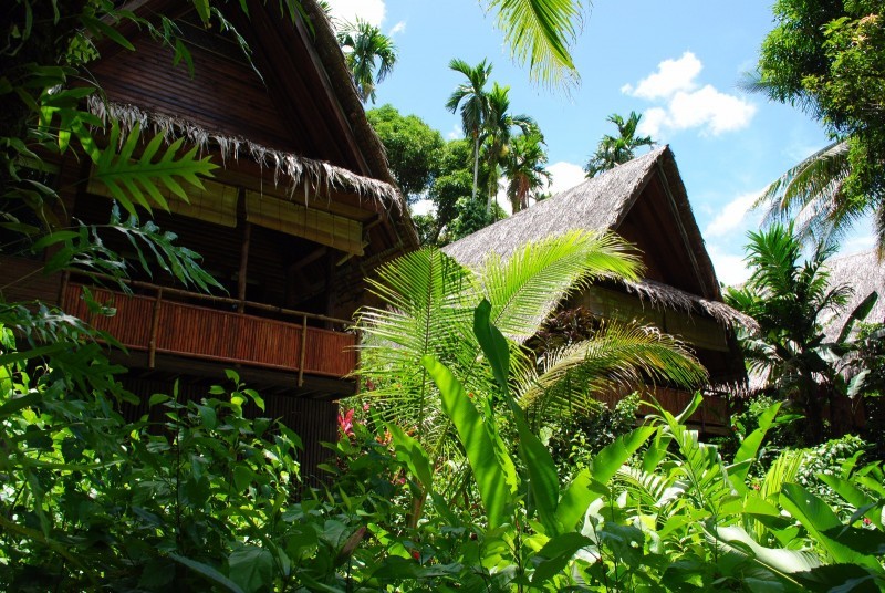 パラオの人気ホテル「プランテーション・リゾートホテル」はジャングルの中に泊まるような空間だった！