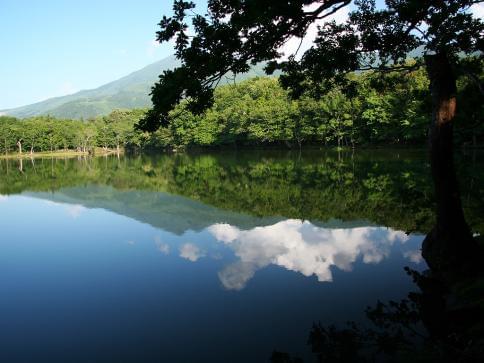 北海道・知床五湖の大自然で野生動物に出会える♪