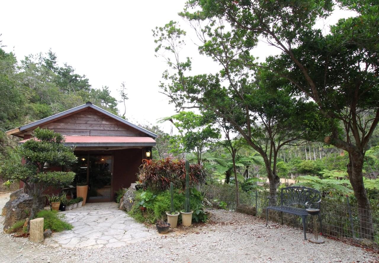 沖縄ジャングルの中で美味しくランチ！緑生い茂る森カフェ5選