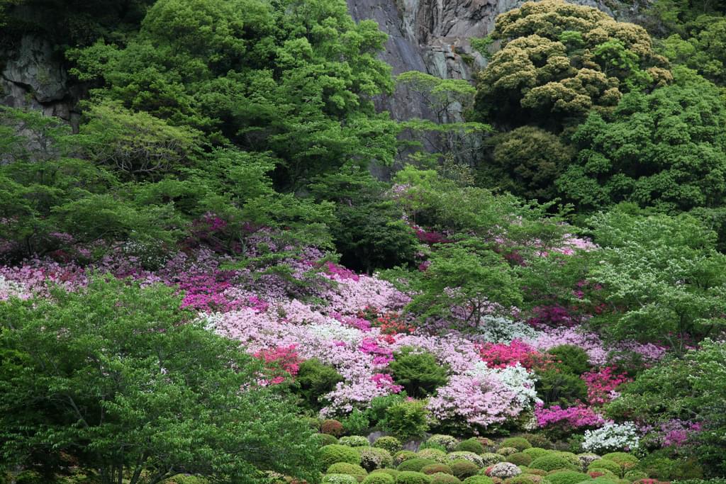 九州・佐賀旅行で温泉へ！登録記念物にも指定されている御船山楽園が絶景すぎる