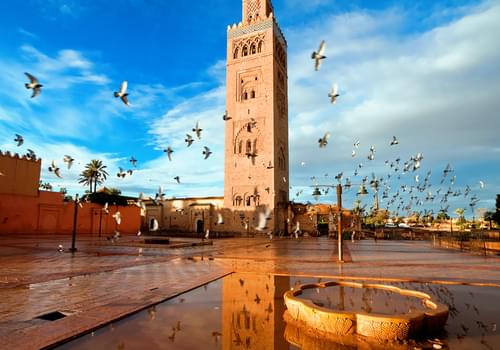 モロッコの世界遺産を巡りつくそう！全て旧市街地９連発