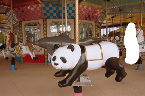 白浜アドベンチャーワールド！日本で一番近くでパンダに会う！