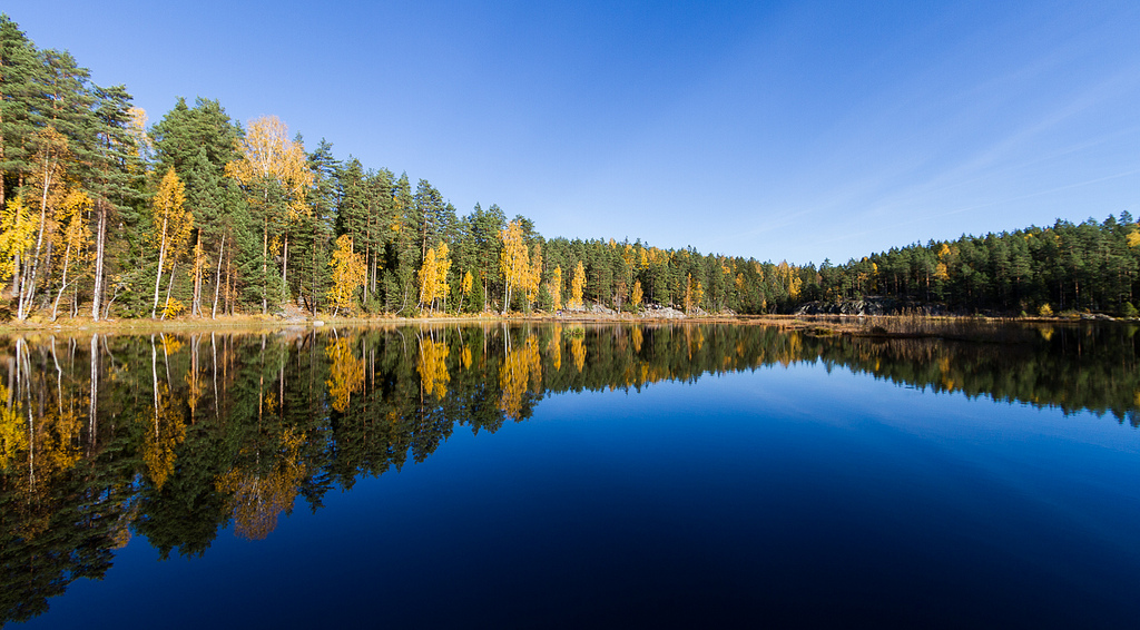 やさしい人と自然が出迎えてくれるフィンランドに癒される人続出！その魅力とは？！