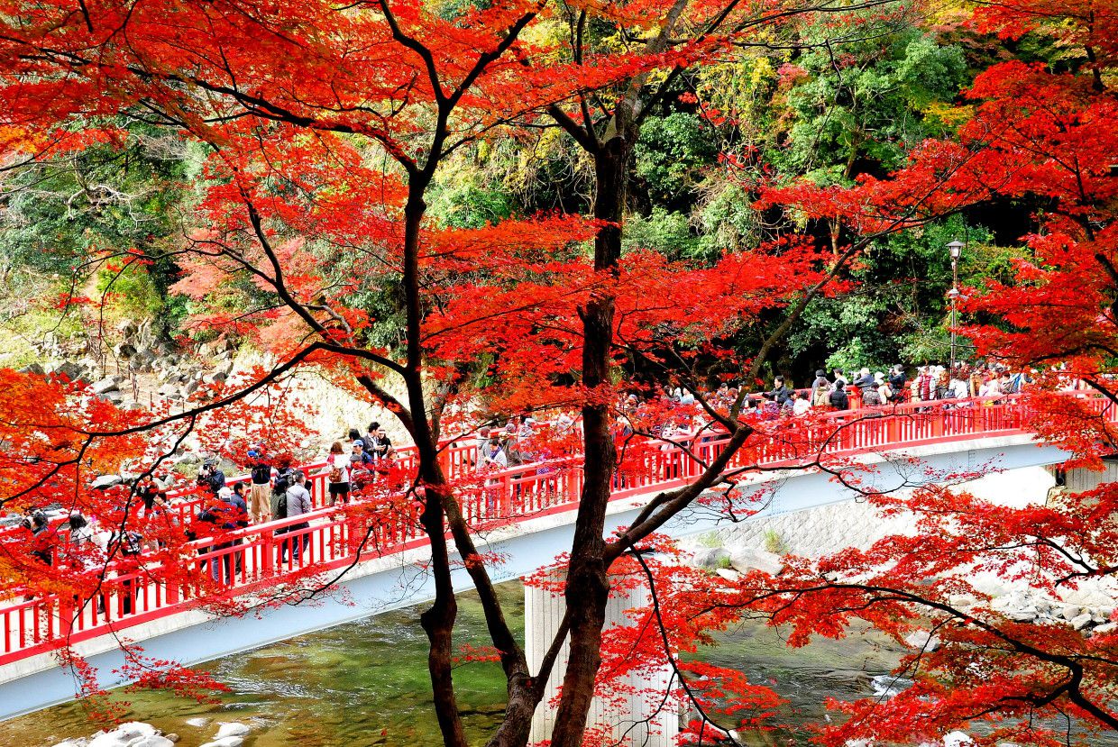 日本全国紅葉狩りの旅！美しすぎる紅葉のおすすめ絶景スポット６選