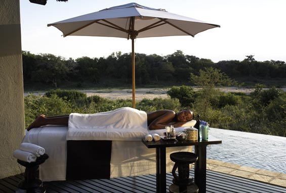 ライオンを眺めながら大自然の中で宿泊！南アフリカの五つ星ホテルが凄い