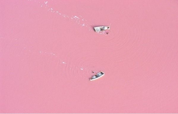 セネガルの絶景「ラックローズ」！ピンクの湖の存在はおとぎ話じゃなかった！