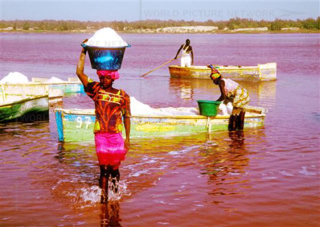 セネガルの絶景「ラックローズ」！ピンクの湖の存在はおとぎ話じゃなかった！