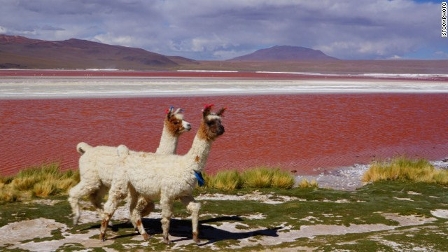 これは見てみたい！ボリビア「ラグナ・コロラダ」の赤い湖が神秘的