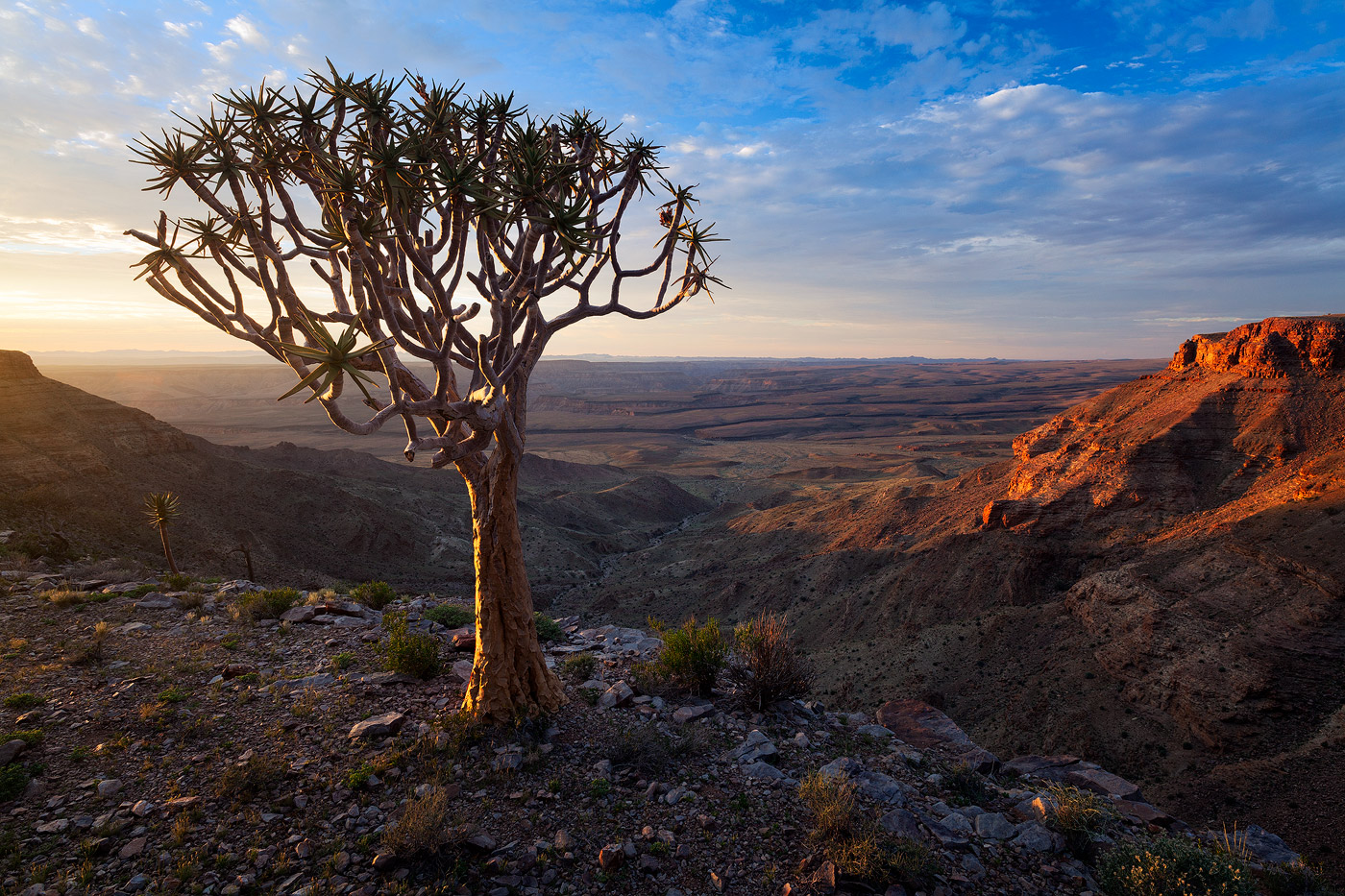 絵画のような絶景！ナミビアの絶景を味わえるおすすめ観光スポット4選