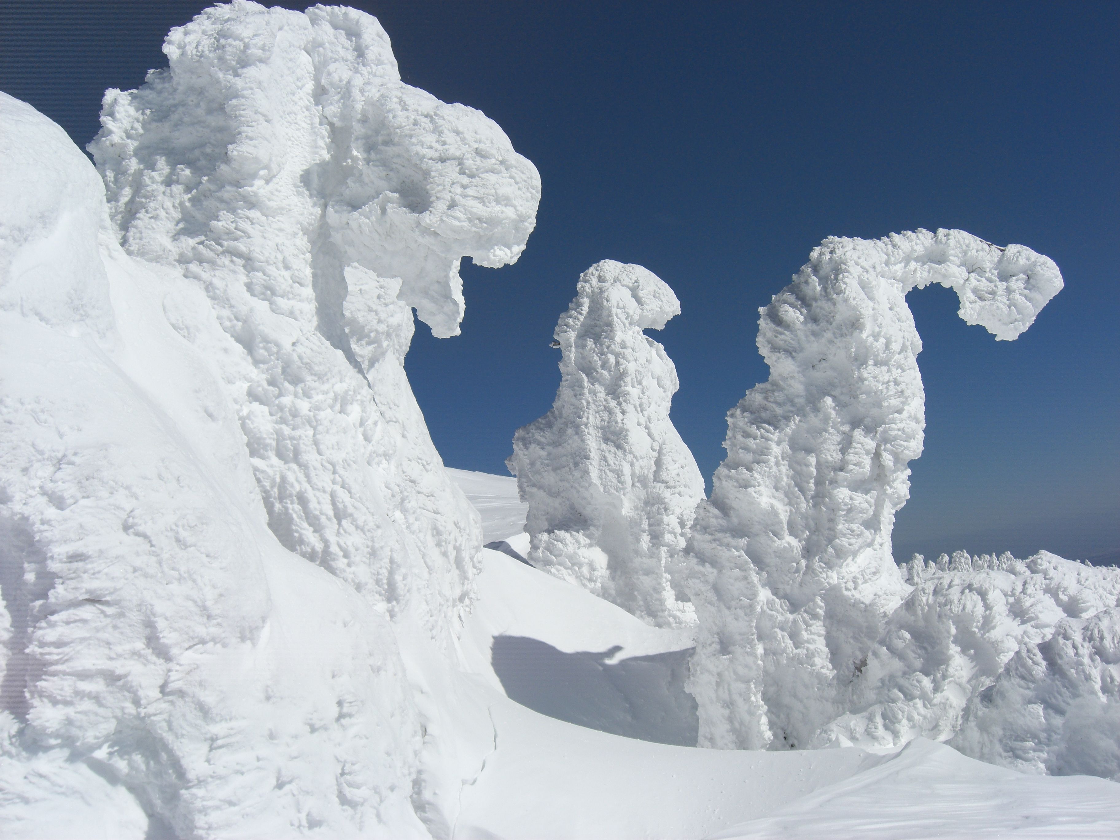 日本国内の美しすぎる雪景色5選！あなた的絶景観光スポットランキングとは？