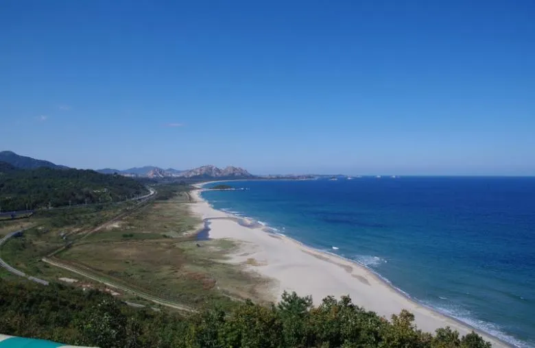 海金剛