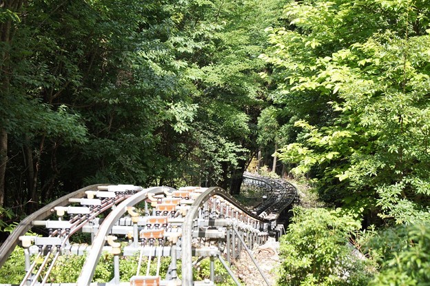 世界一！徳島「奥祖谷観光周遊モノレール」で大自然と温泉を満喫！