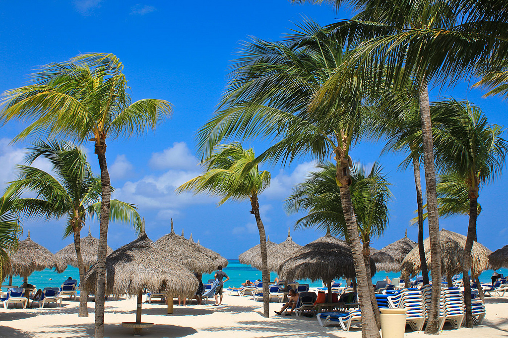 カリブ海の楽園「アルバ」とは？美しすぎる海が魅力の知られざる島で楽しむ観光情報大公開！