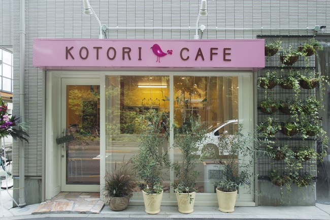 東京でデートに使える可愛い動物カフェ８選！犬猫に、うさぎやフクロウも！