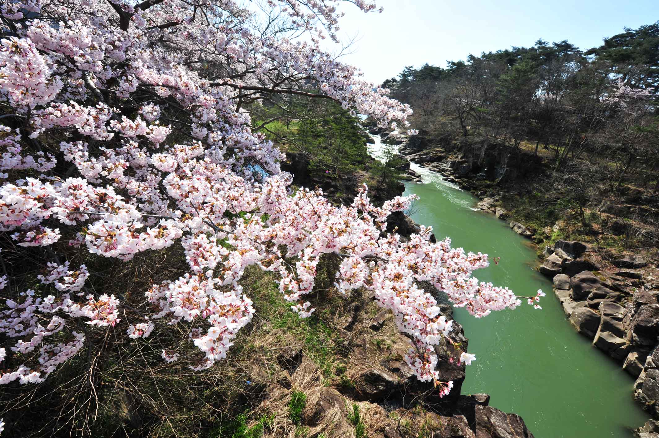 東北の隠れた魅力溢れる！岩手のおすすめスポット５選