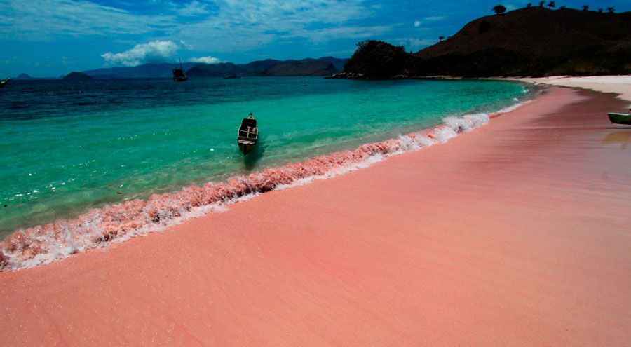 まるで夢のよう！死ぬまでに見たい世界のピンクビーチ