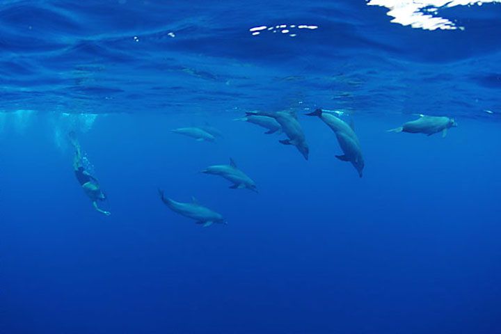 360度海！世界の絶景100選で第1位に選ばれたジープ島