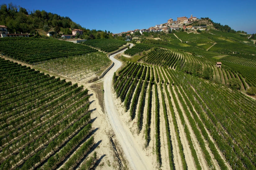 ワイン生産量世界No.1！イタリアにあるトップワイナリー5選