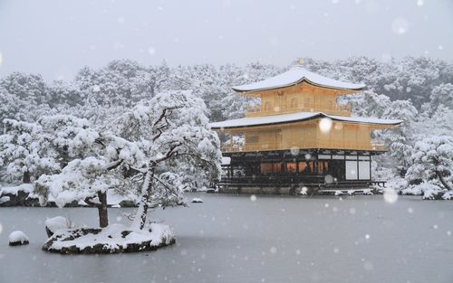 冬だけしか見れない絶景を堪能！日本の美しい冬景色5選