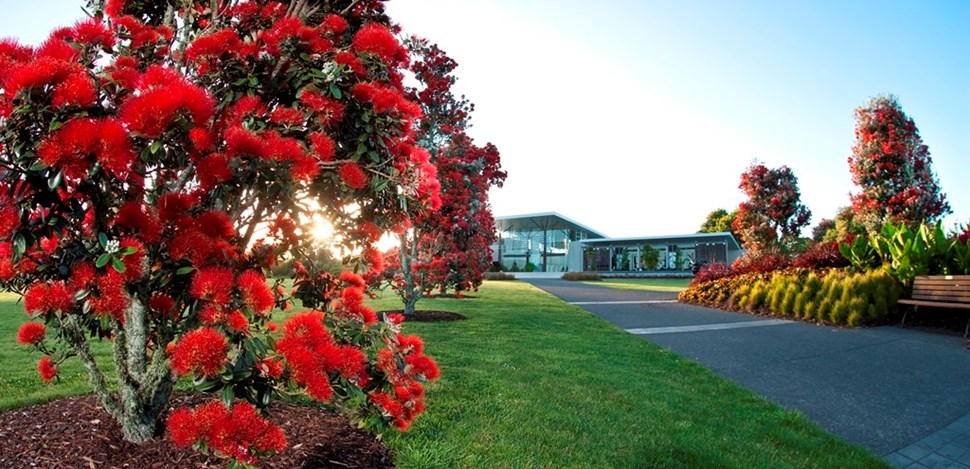 ニュージーランドでお花観光！絶対行くべき素敵ガーデン２選