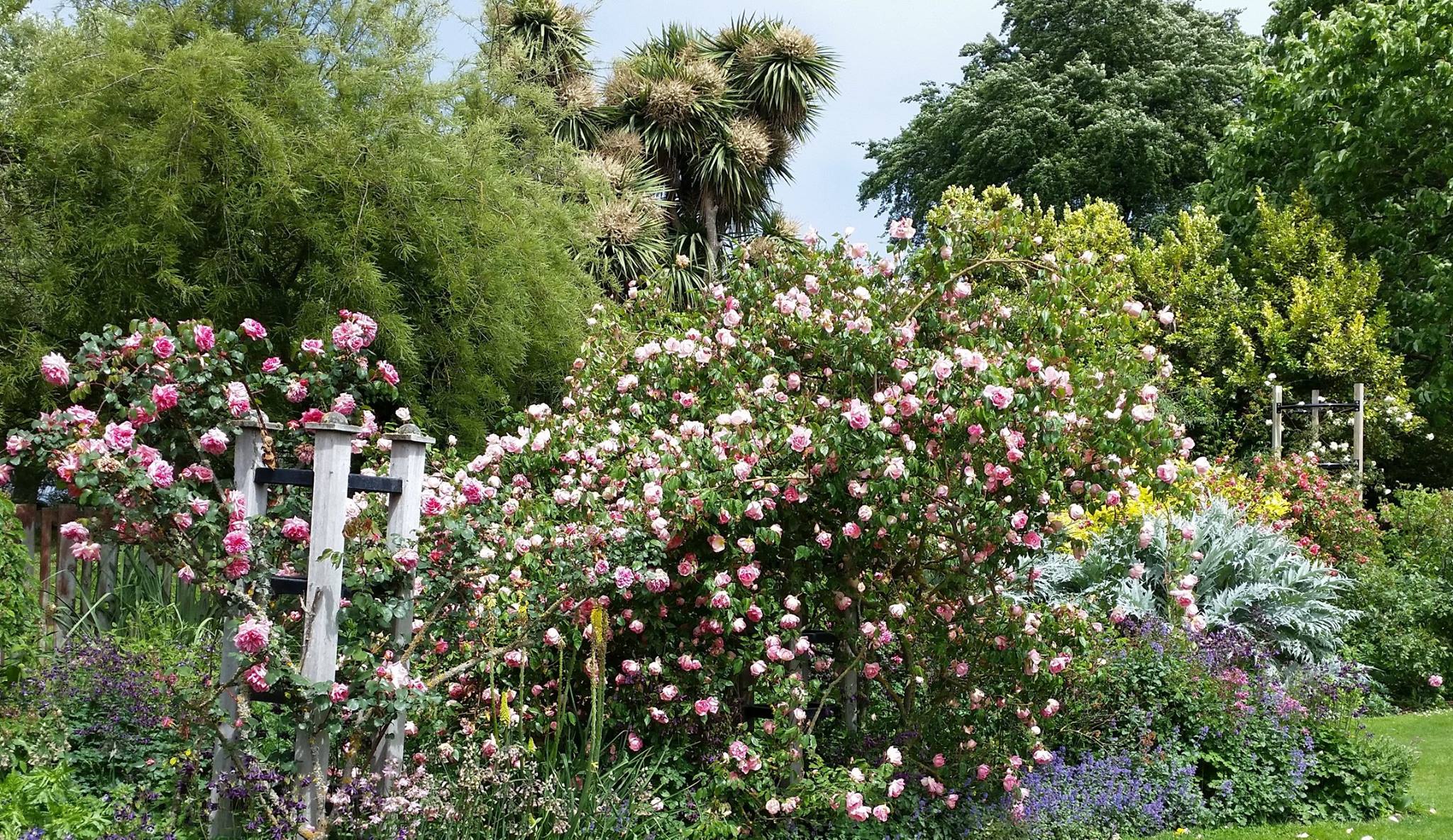 ニュージーランドでお花観光！絶対行くべき素敵ガーデン２選