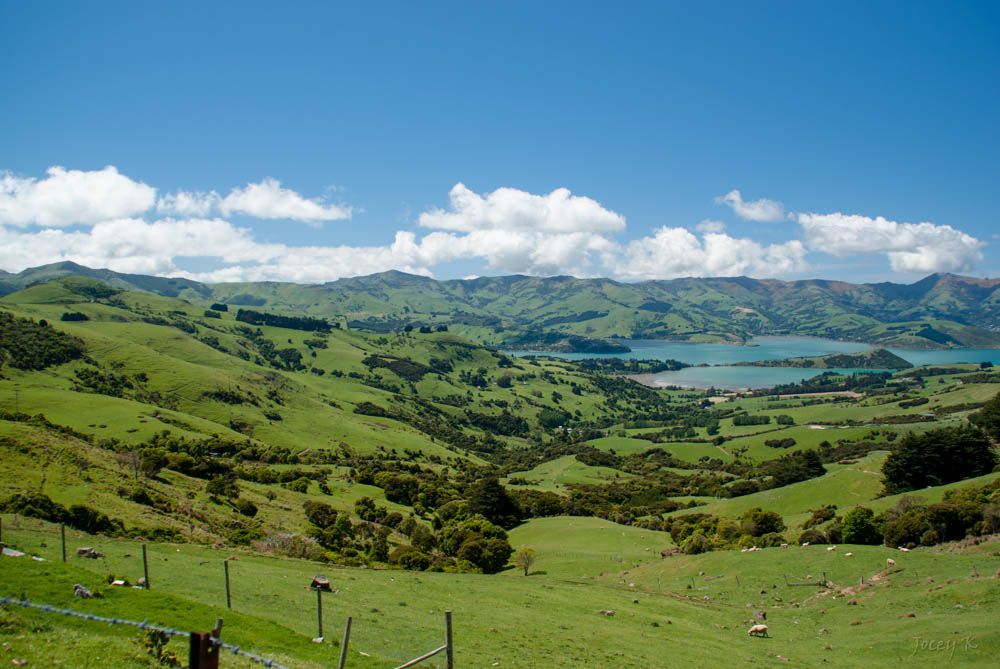 ニュージーランド・クライストチャーチ観光スポット10選！ＮＺの自然と文化を満喫できる人気の名所とは