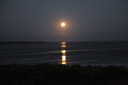 世界中で唯一の絶景！西オーストラリアのケーブルビーチで月の階段を見よう