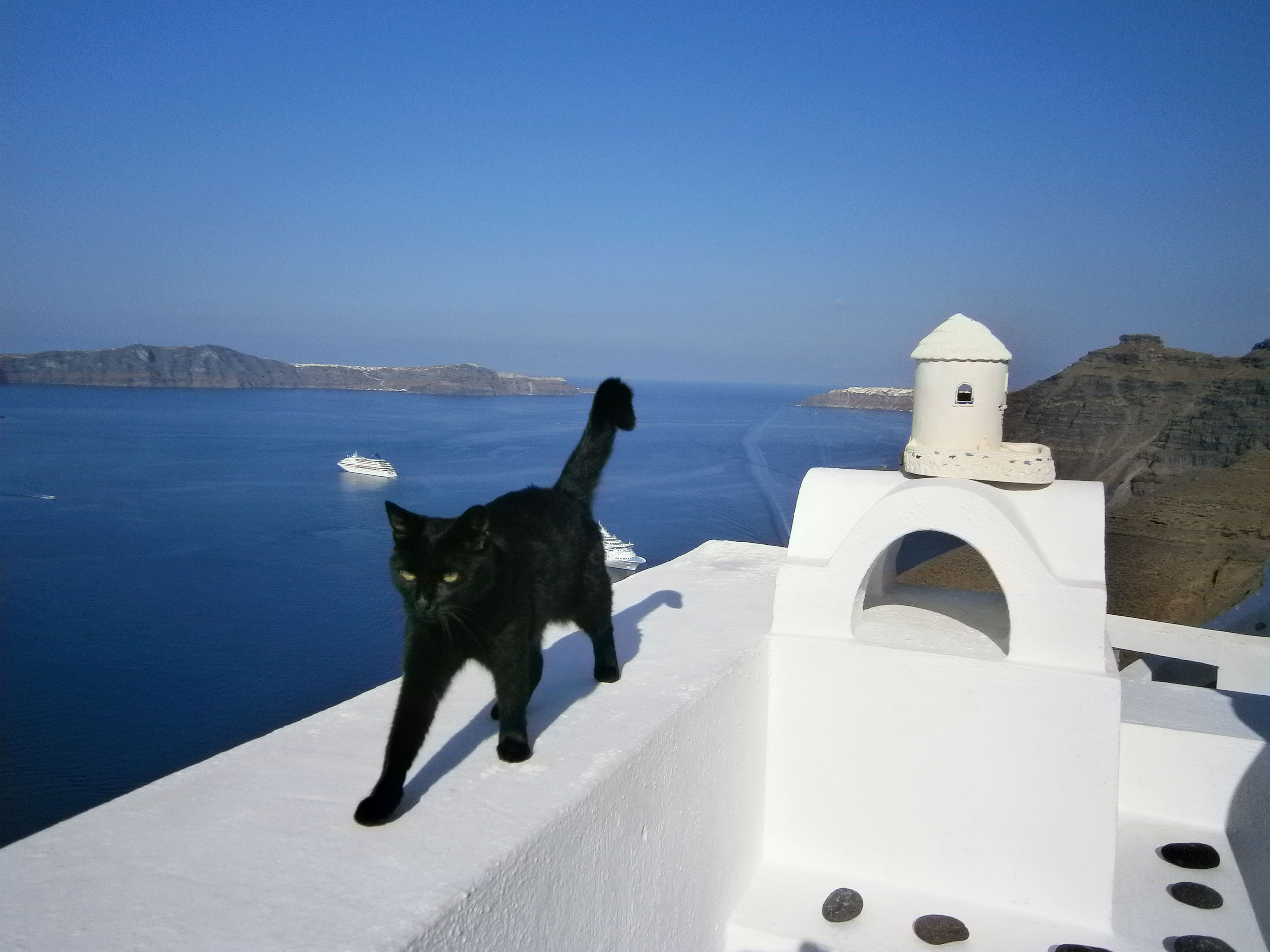 青い空の下での～んびり♪猫たちが暮らすギリシャの街
