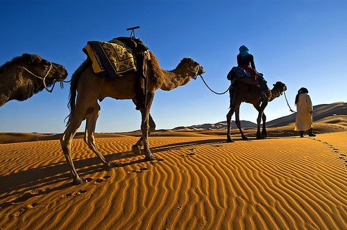 モロッコでサハラ砂漠絶景観光！ラクダに乗って自然が紡ぎだした絶景揃いの見どころを訪ねよう