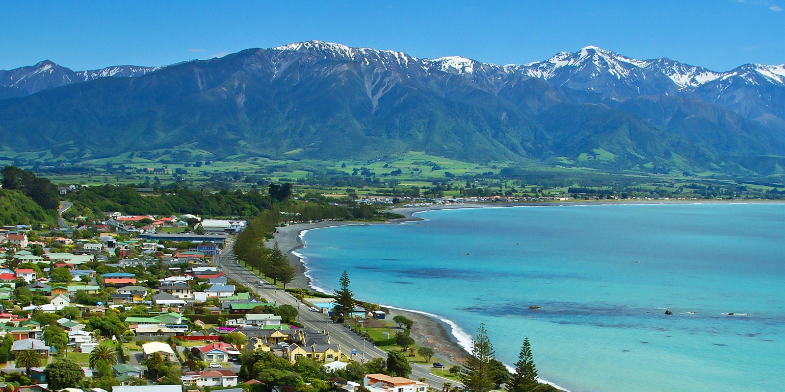 ニュージーランド・カイコウラ観光でおすすめの名所ガイド！海洋生物と遭遇できる豊かな海のある港町
