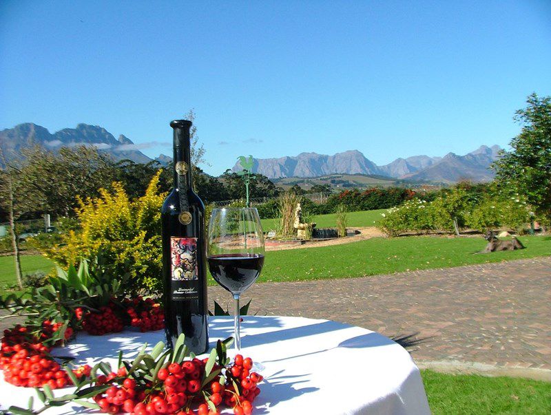 南アフリカワインを飲みにワイナリー観光へ！ワインランドが今あつい