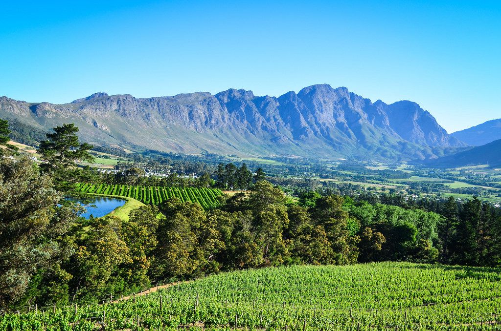 南アフリカワインを飲みにワイナリー観光へ！ワインランドが今あつい