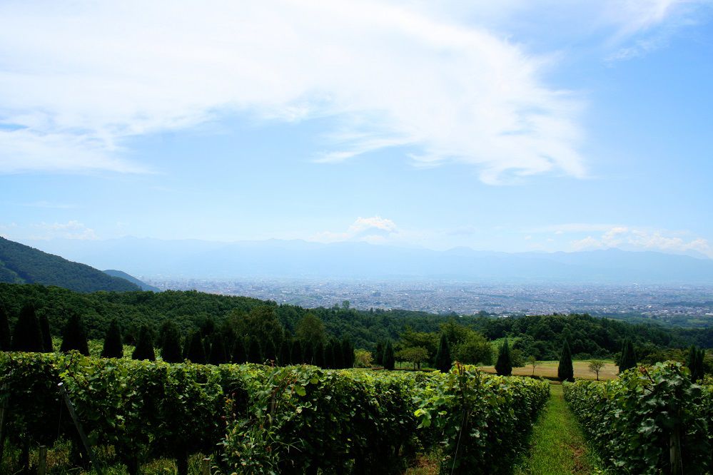 ワイン好き必見！日本が誇る最大のワイン産地・山梨のおすすめスポット5選
