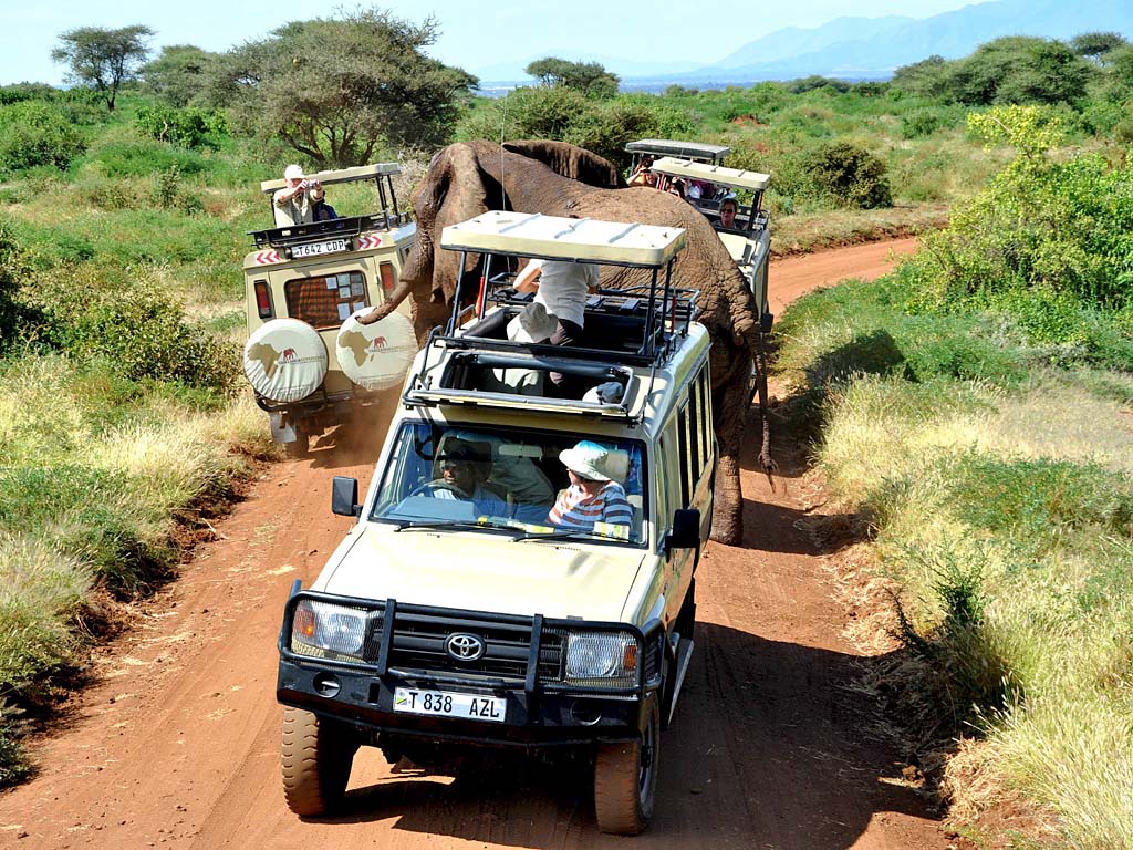 タンザニア観光ならセレンゲティ国立公園へ！ライオンなどの野生動物鑑賞♪