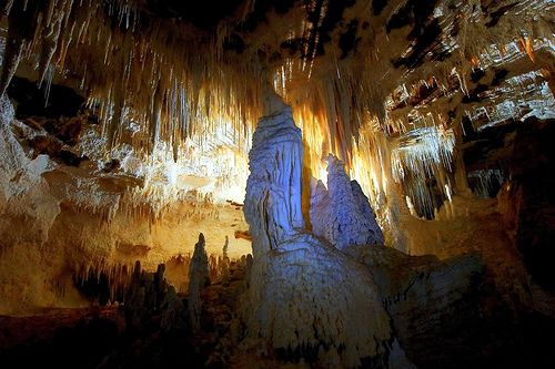 ニュージーランドで行くべき秘境「ワイトモ洞窟」が美しすぎて驚くレベル！