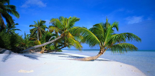 楽園グアム観光で島遊び～ココス・アイランド・リゾート～