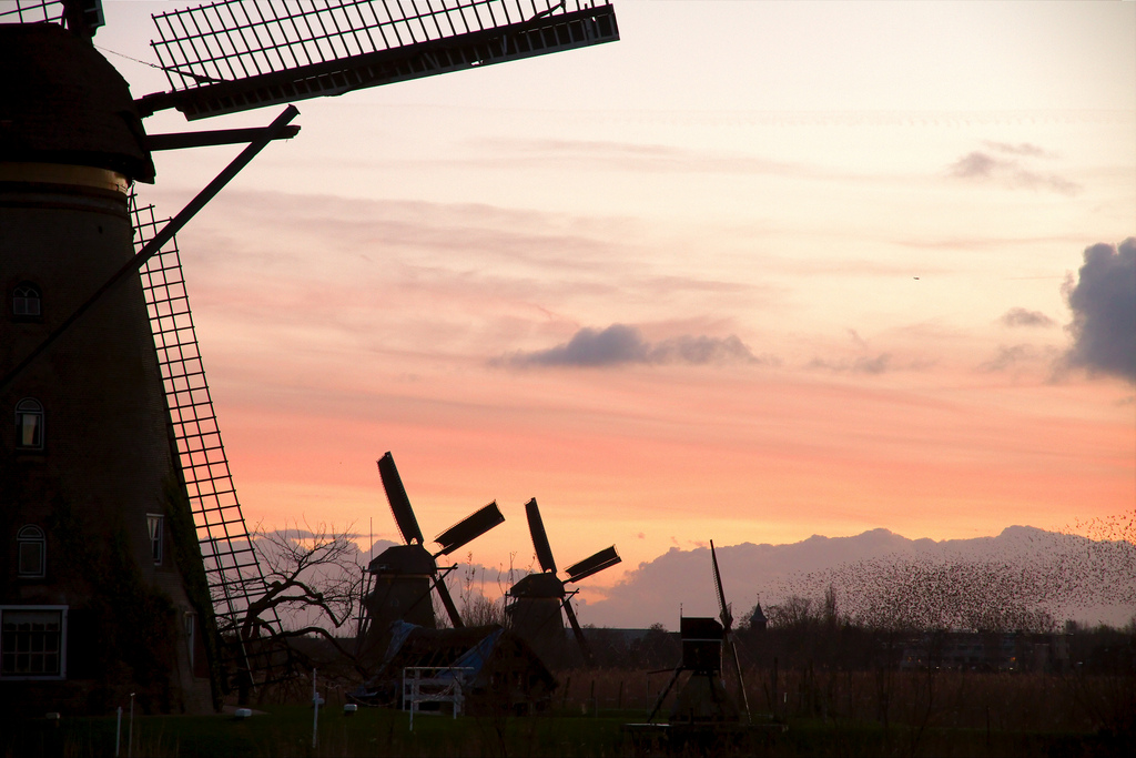 オランダの世界遺産５選！風車やワッデン海など自然と文化の融合を観光せよ！