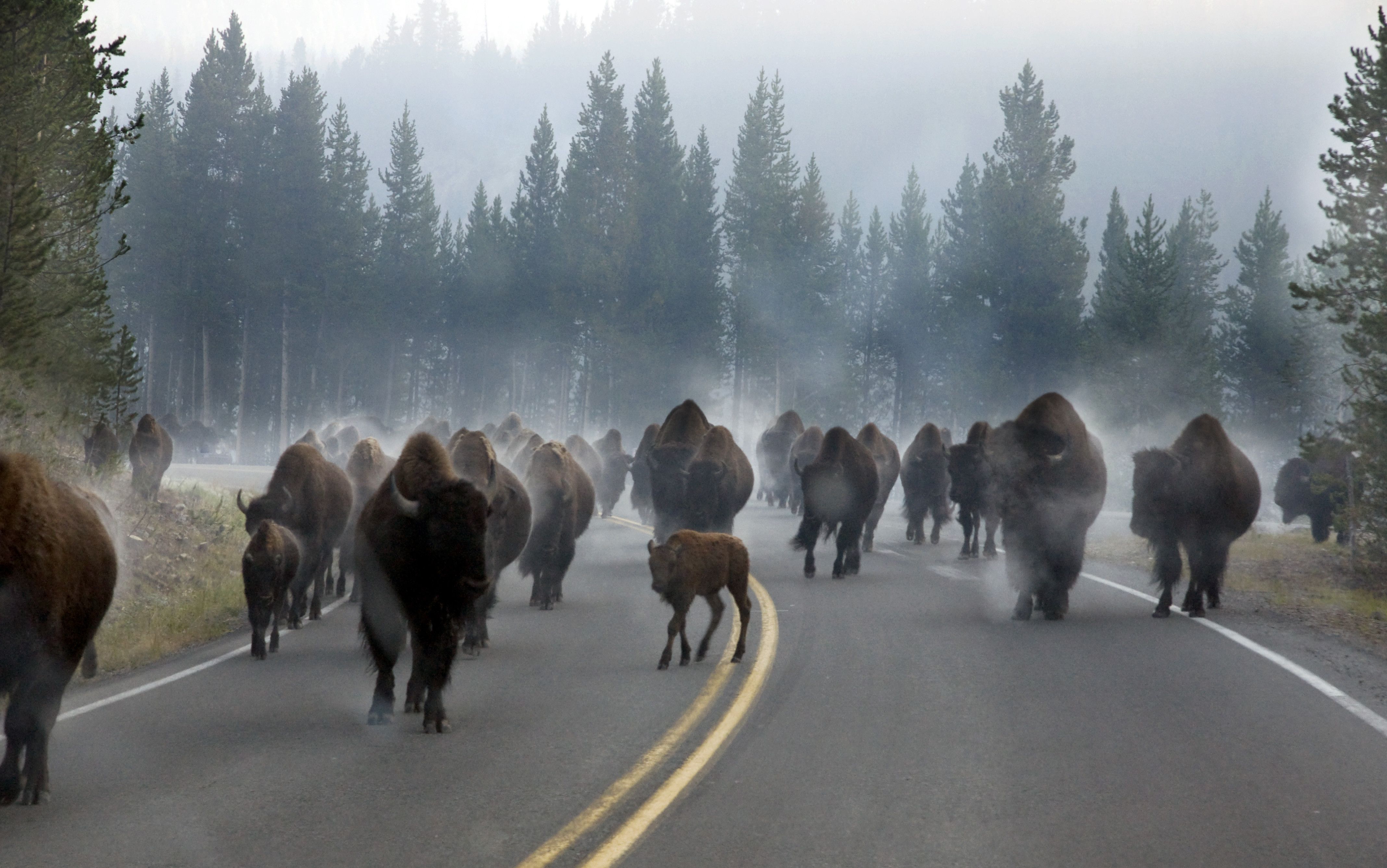 アメリカ世界遺産５選！これは本当に死ぬまでに行くべき大地が生み出す絶景！