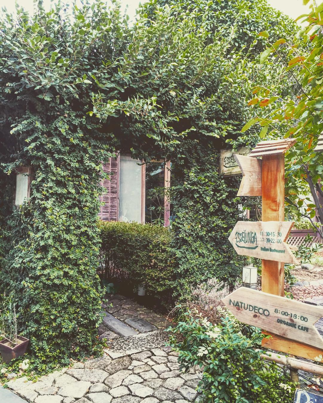 鎌倉で人気の古民家カフェ5選！人気の秘訣はこだわり抜いた食材を使った絶品メニュー