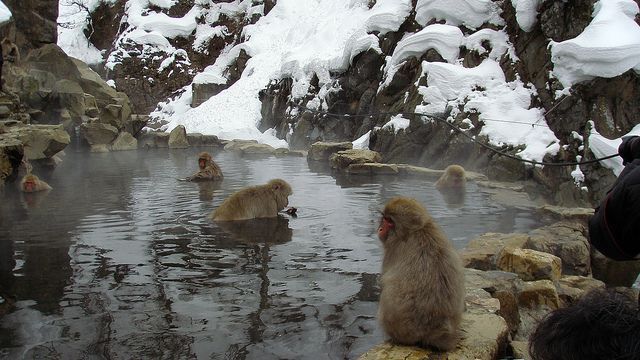 関東近郊でおすすめの上級者向け極上温泉8カ所！普通の温泉じゃ物足りないアナタへ