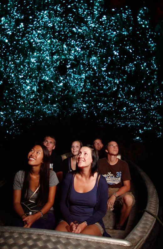 【ニュージーランド】ワイトモ・グロウワーム鍾乳洞の土ボタルがまるで満点の星空！