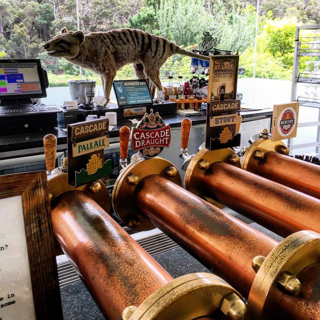 タスマニアに現存する最古ビール工場カスケード醸造所に潜入！フレッシュビールの試飲も魅力的